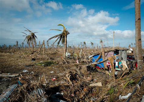 environmental section tacloban @gmail.com|Tacloban after Haiyan .